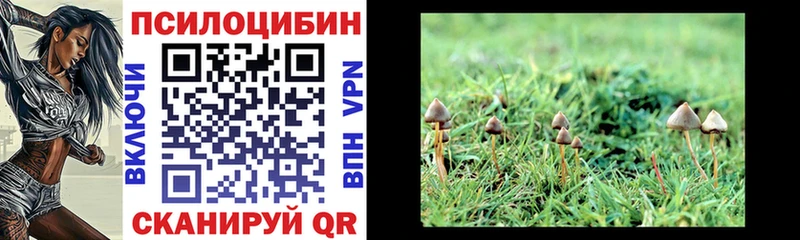 Псилоцибиновые грибы ЛСД  Верхоянск 